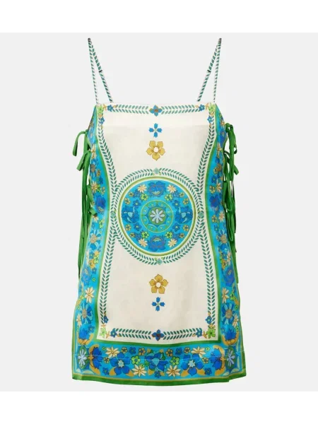 Maiou Alemais cu imagine