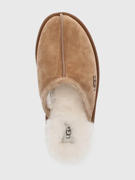 Капці UGG Scuff коричневий