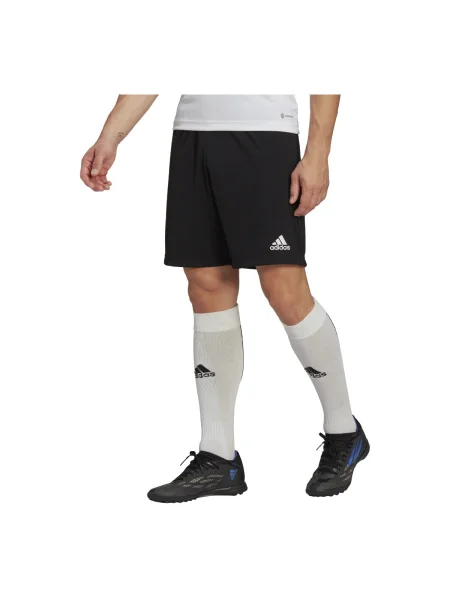 Adidas Performance edzős rövidnadrág Entrada 22 férfi fekete