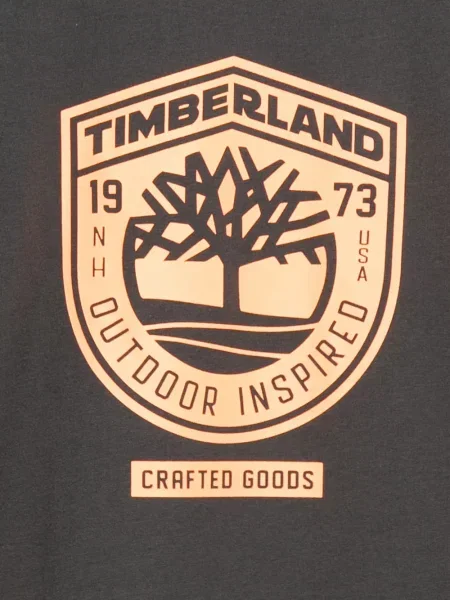 Koszulka dziecięca Timberland szara