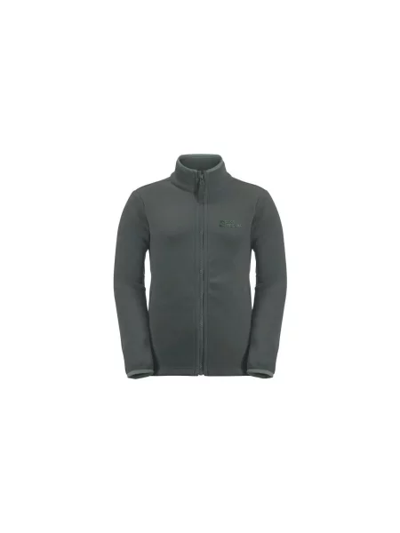 Geacă copii Jack Wolfskin gri
