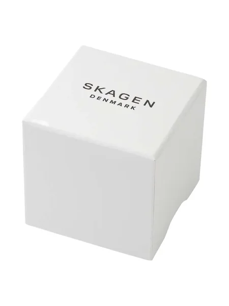 Ceas Skagen