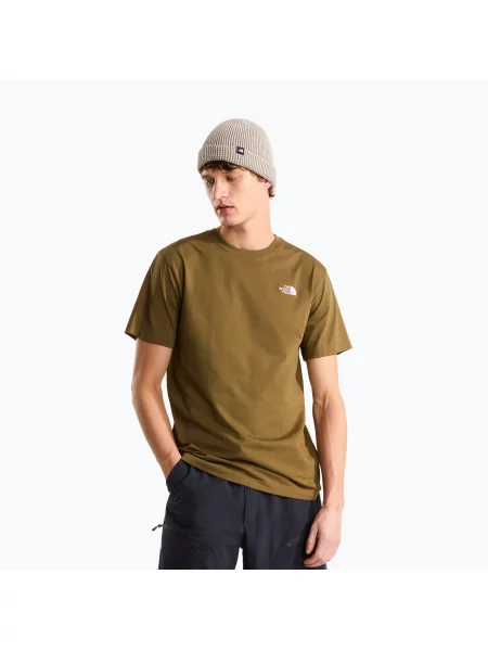 Tricou pentru bărbați The North Face Evolution Simple Dome Regular SS caraway seed