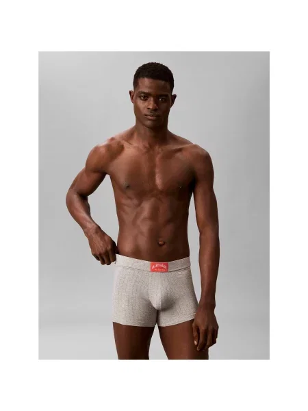 Chiloți Calvin Klein Jeans gri