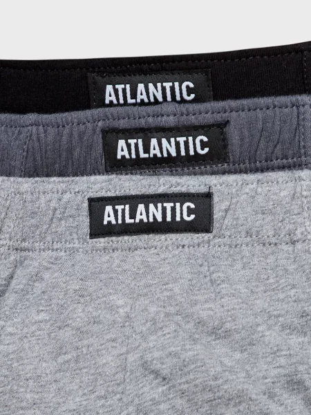 Бріфи Atlantic