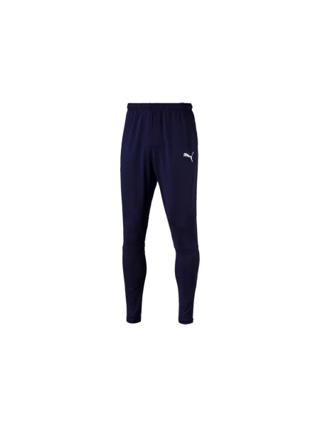 Spodnie Puma Liga Pants Pro niebieskie