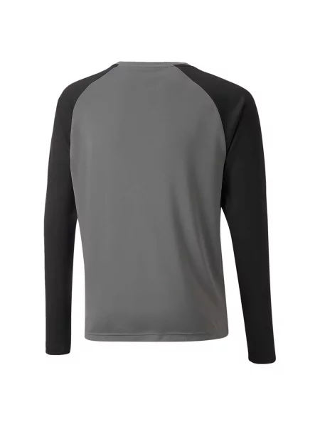 T-Shirt Puma Teampacer Gk Ls Jersey Jr Dzieci szara