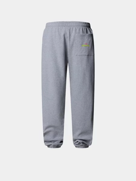 Повседневные брюки The North Face серые