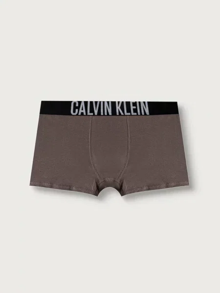 Calvin Klein Underwear testhezálló boxeralsó gyerek elasztánnal csomag szürke