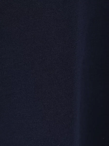 Polo Aspesi albastru