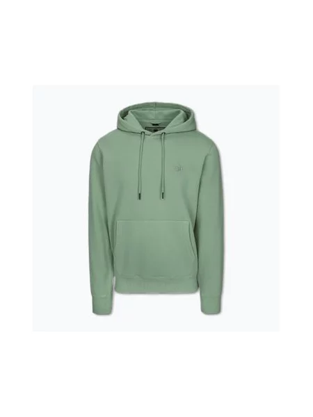 Кофта Pitbull Lancaster 2 Hooded Sweatshirt washed green зелений