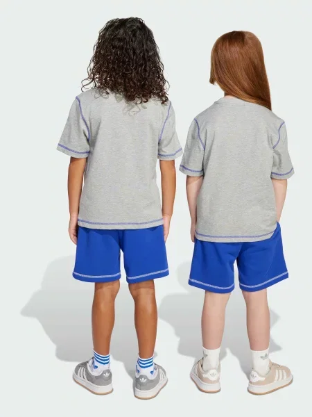 Повседневный костюм Adidas серый