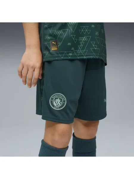 PUMA Młodzieżowe szorty Manchester City Odzież zielony