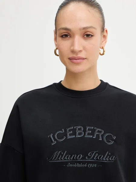 Кофта Iceberg