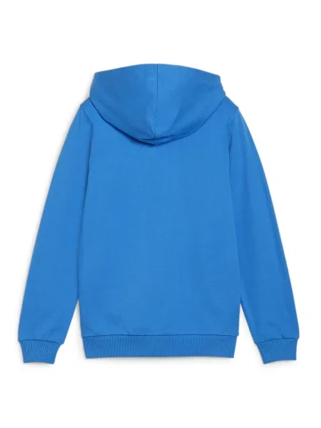 Bluza dla dzieci Puma teamGoal Casuals Hooded niebieska