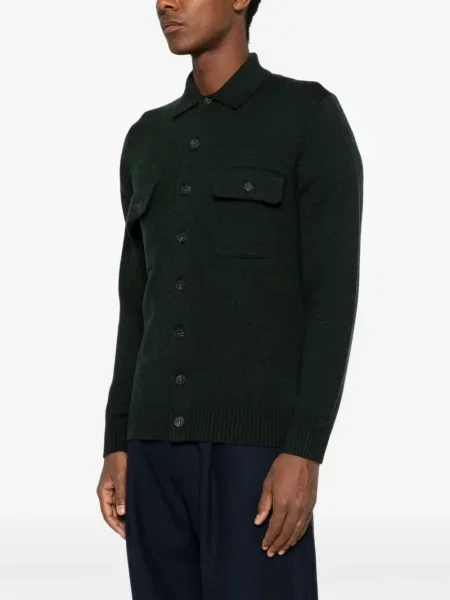 Cardigan Kangra verde