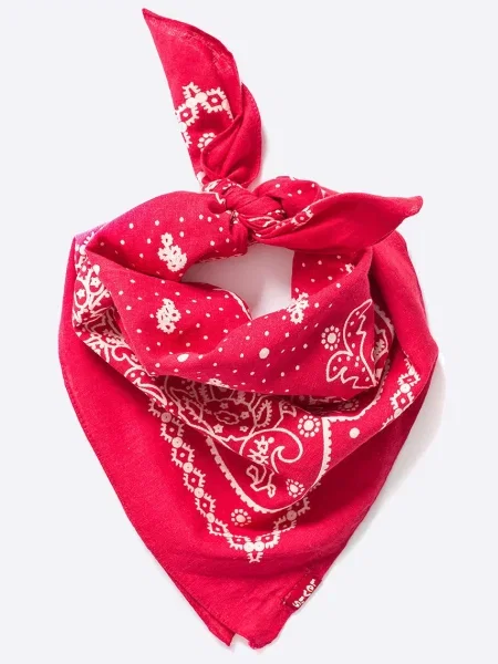 Fular Levi's® cu model paisley alb