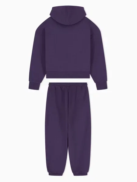 Спортивный костюм Ea7 Emporio Armani фиолетовый