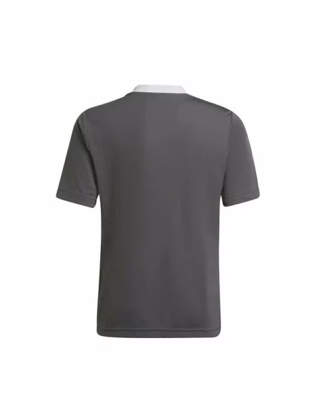 Koszulka piłkarska dla dzieci adidas Entrada 22 Jersey szara