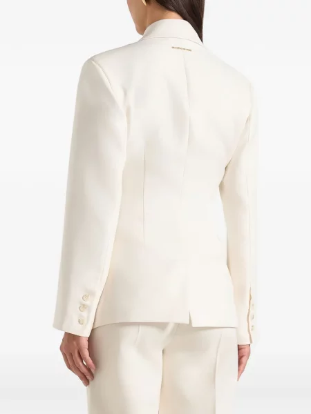 Blejzer Manière De Voir dvoredan