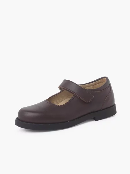 Pisamonas Polobotky hnědá