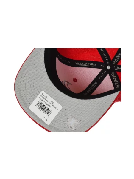 Šilterica Mitchell & Ness