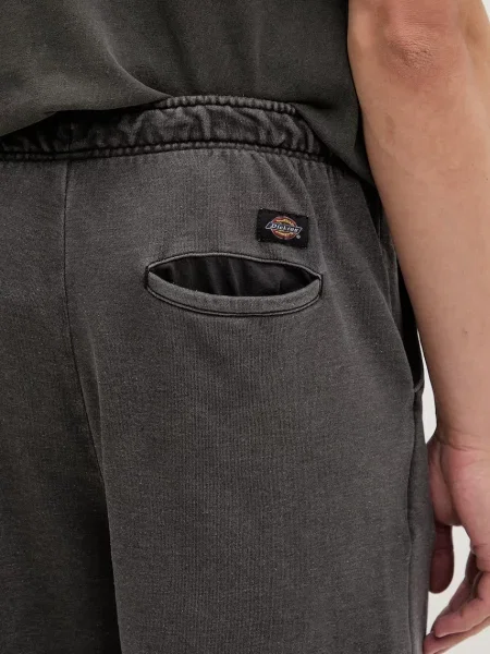 Трикотажные шорты Dickies