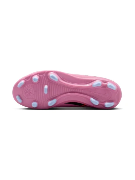 Pantofi Nike