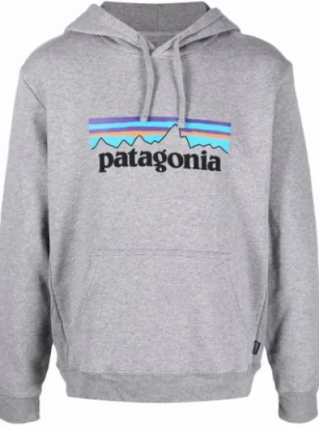 Hanorac cu glugă Patagonia cu imagine gri