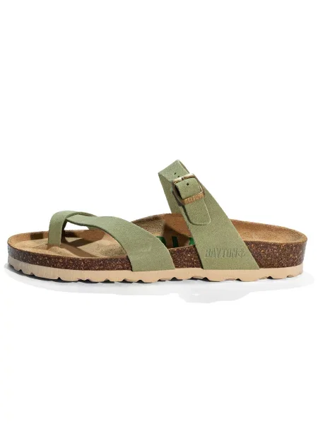 Bayton Japonke Diane kivi