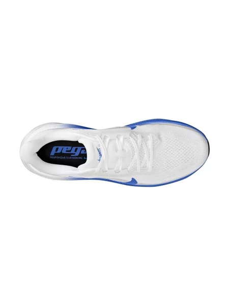 Pantofi Nike