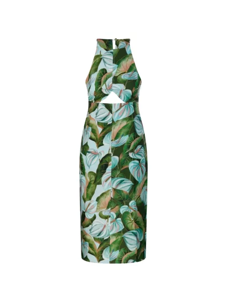 Rochie midi Farm Rio cu model floral cu imagine verde