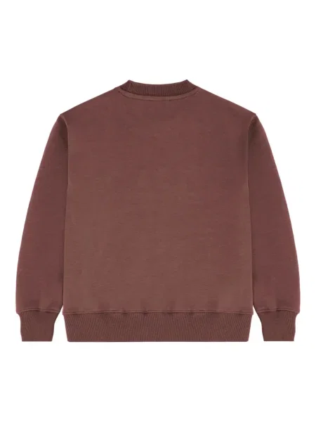 Bluza dziecięca Laneus Kid brązowa