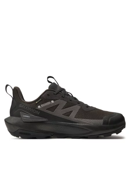 Salomon Снікерcи Elixir Activ Gore-Tex сірий
