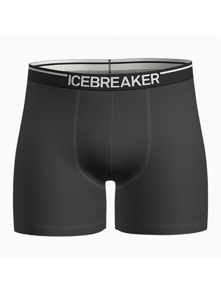Boxeri termoactivi pentru bărbați icebreaker Anatomica plume jet heather