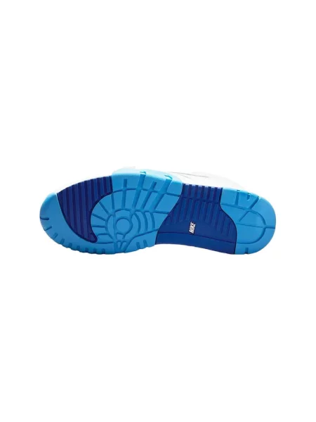 Pantofi Nike albastru