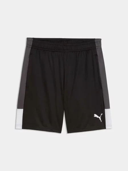 Спортивні шорти PUMA Individualliga Trg Shorts комбінований верх чорний