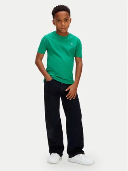 Dětské tričko Calvin Klein Jeans zelené