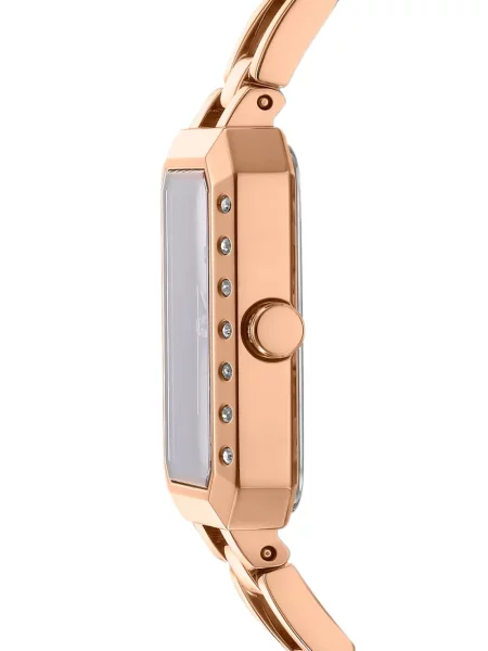 Ceas Dkny roz