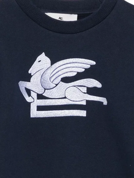 Bluza dziecięca Etro niebieska
