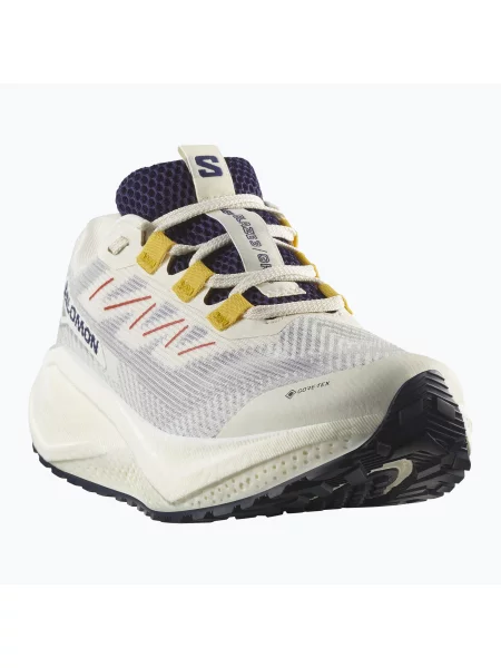 Кросівки для бігу Salomon Aero Blaze 3 Gravel GTX vanilla ice/astral aura/lemon