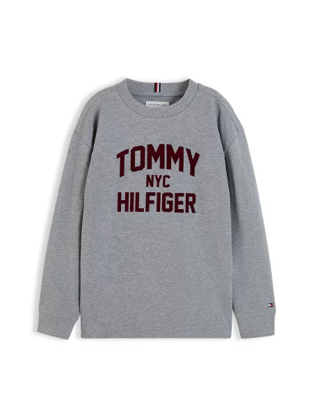 TOMMY HILFIGER Tricou BRAND LOVE amestecat / roşu închis gri