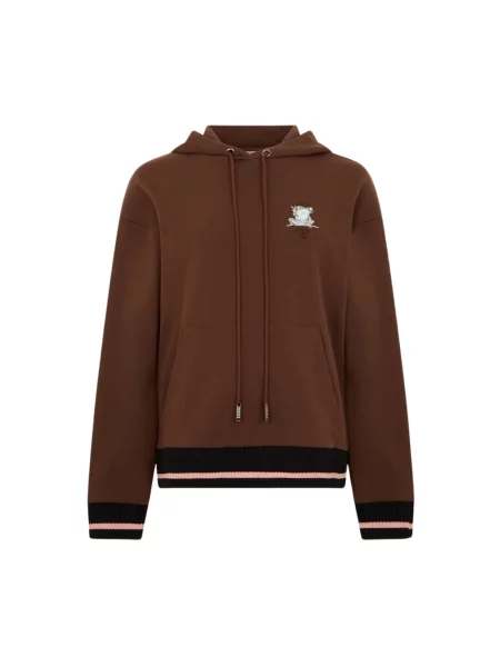 Bluza z kapturem Iceberg z kapturem brązowa