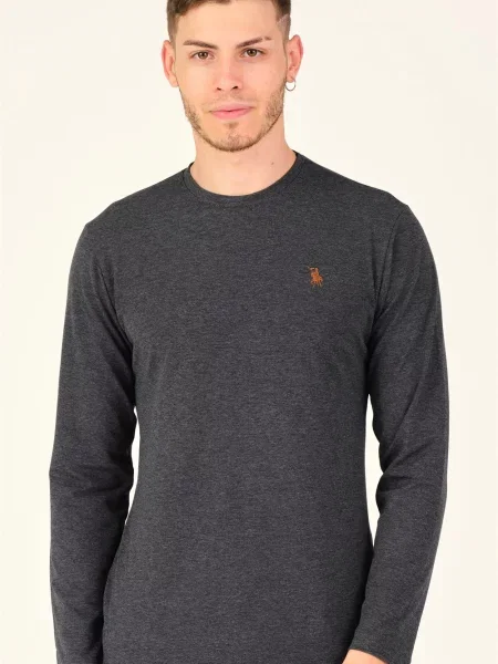 Тениска с дълъг ръкав Dewberry сиво