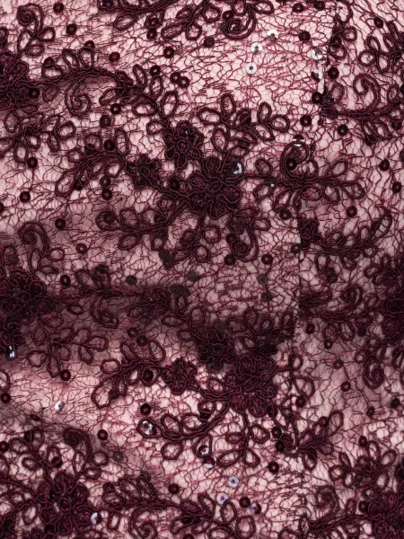 Ombre Večernja haljina burgund