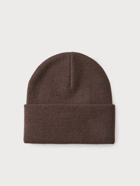 Carhartt WIP Čiapky Chase mokka