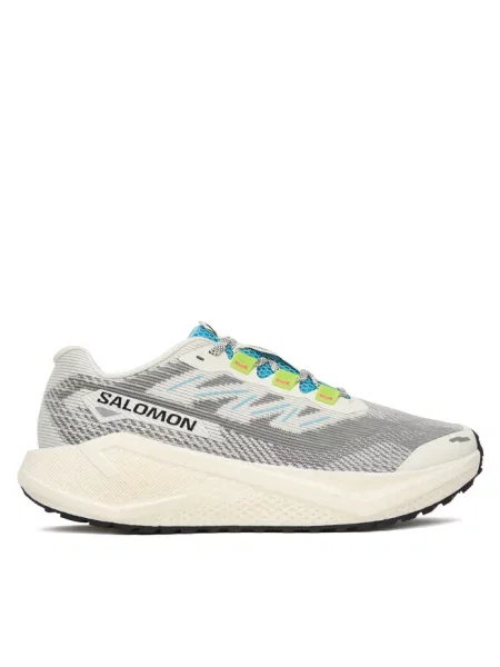 Buty do biegania Salomon szare