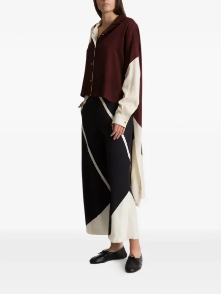 Cămașă Alberta Ferretti maro