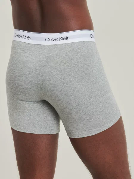 Gaćice Calvin Klein Jeans