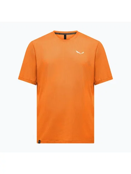 Tricou pentru bărbați Salewa Pedroc Dry Light turmeric